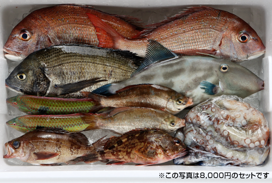 ※この写真は8,000円のセットです