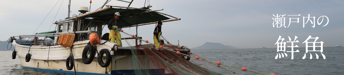 瀬戸内の鮮魚