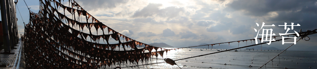 海苔