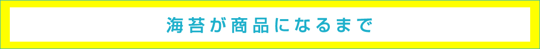 海苔が商品になるまで